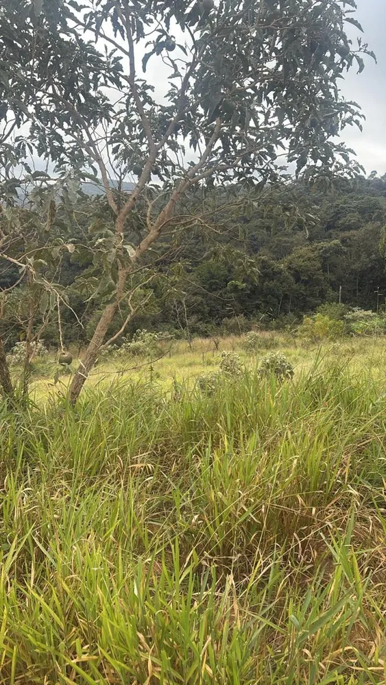 Terreno, 360 m² - Foto 7