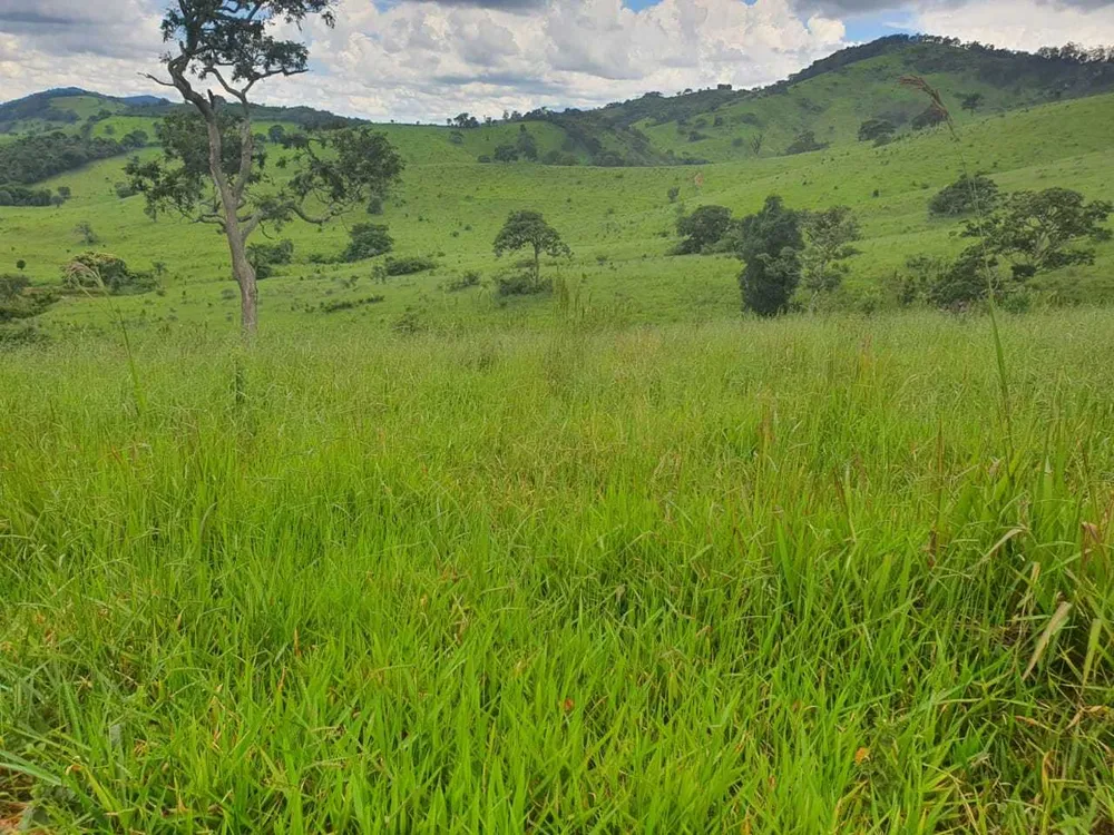 Fazenda, 208 hectares - Foto 16