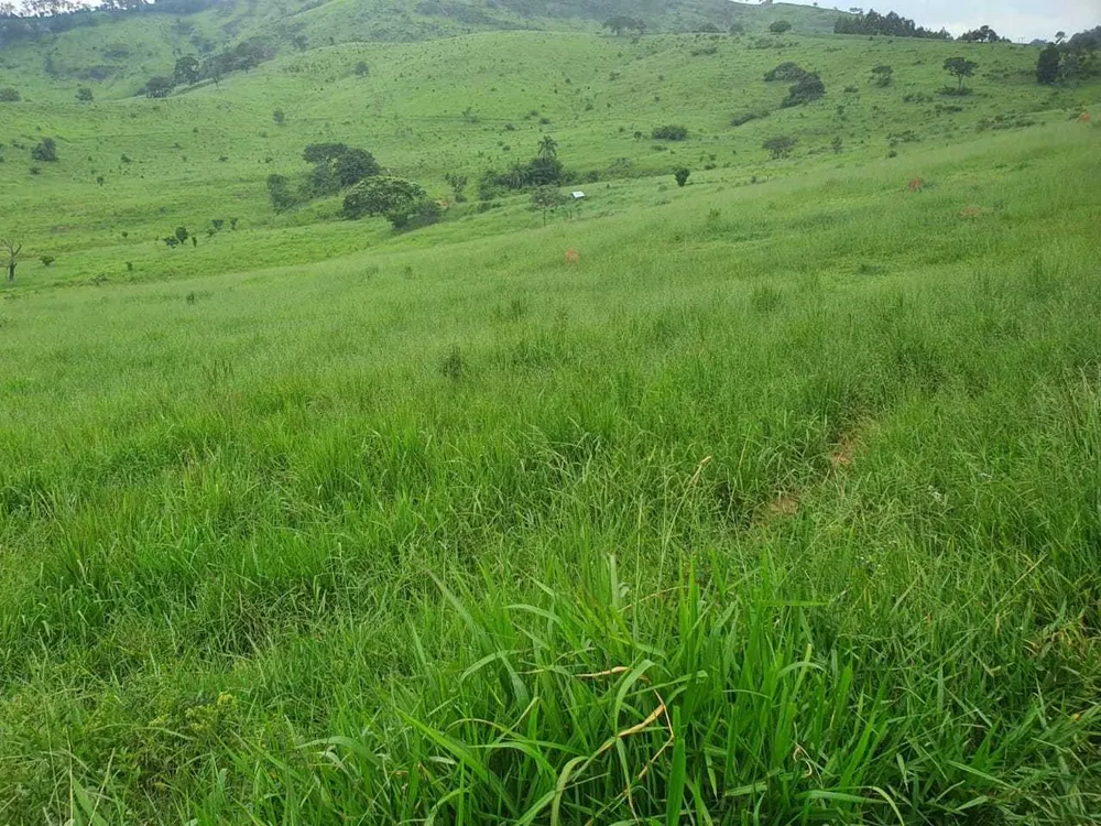 Fazenda, 208 hectares - Foto 12