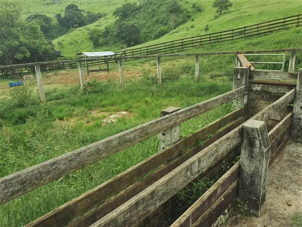 Fazenda, 208 hectares - Foto 9