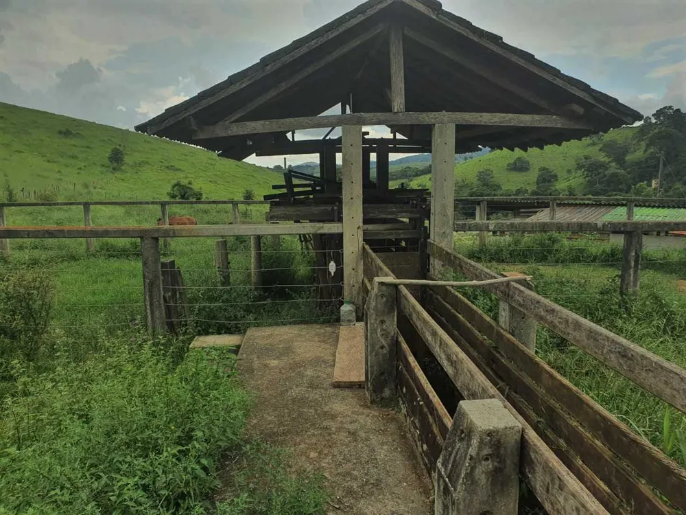 Fazenda, 208 hectares - Foto 25