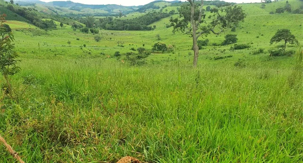 Fazenda, 208 hectares - Foto 9