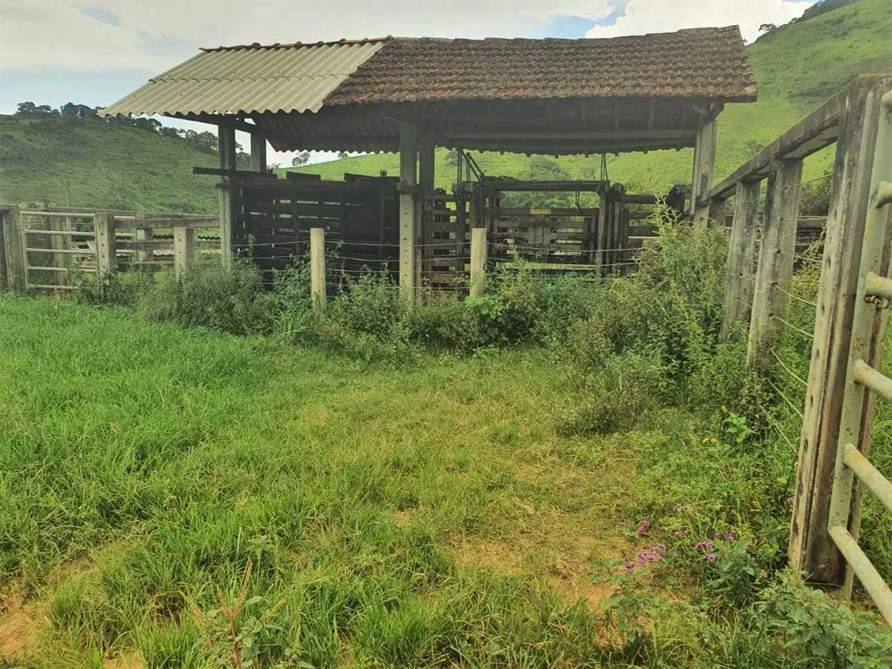 Fazenda, 208 hectares - Foto 22