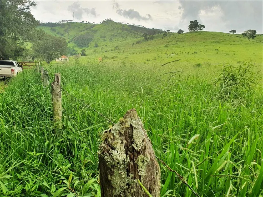 Fazenda, 208 hectares - Foto 6