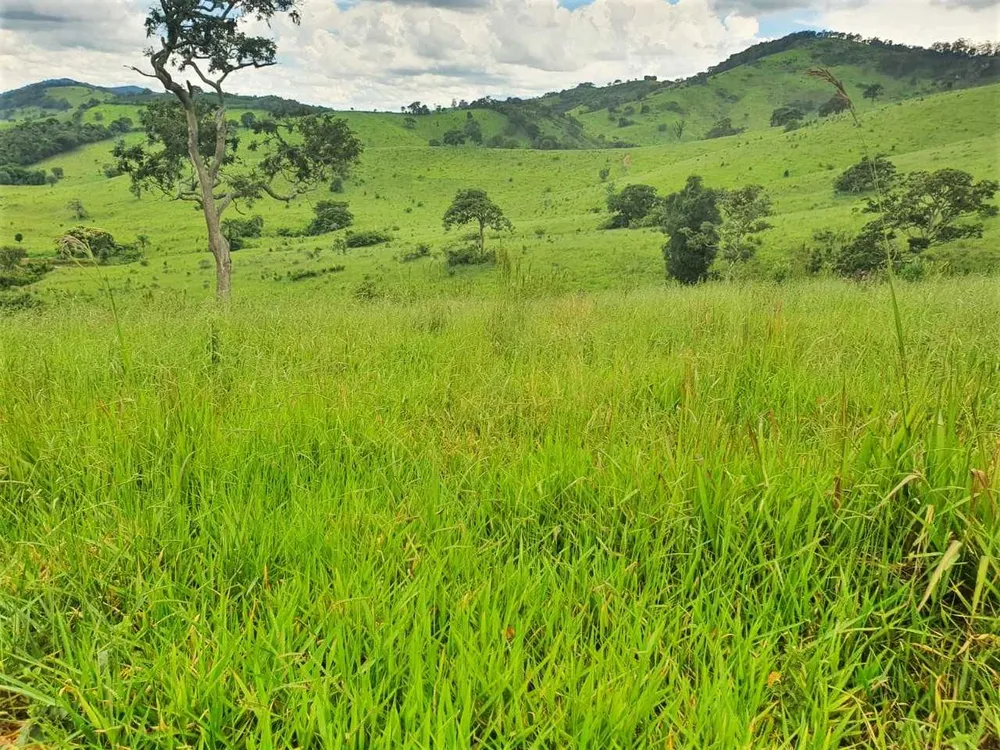 Fazenda, 208 hectares - Foto 7