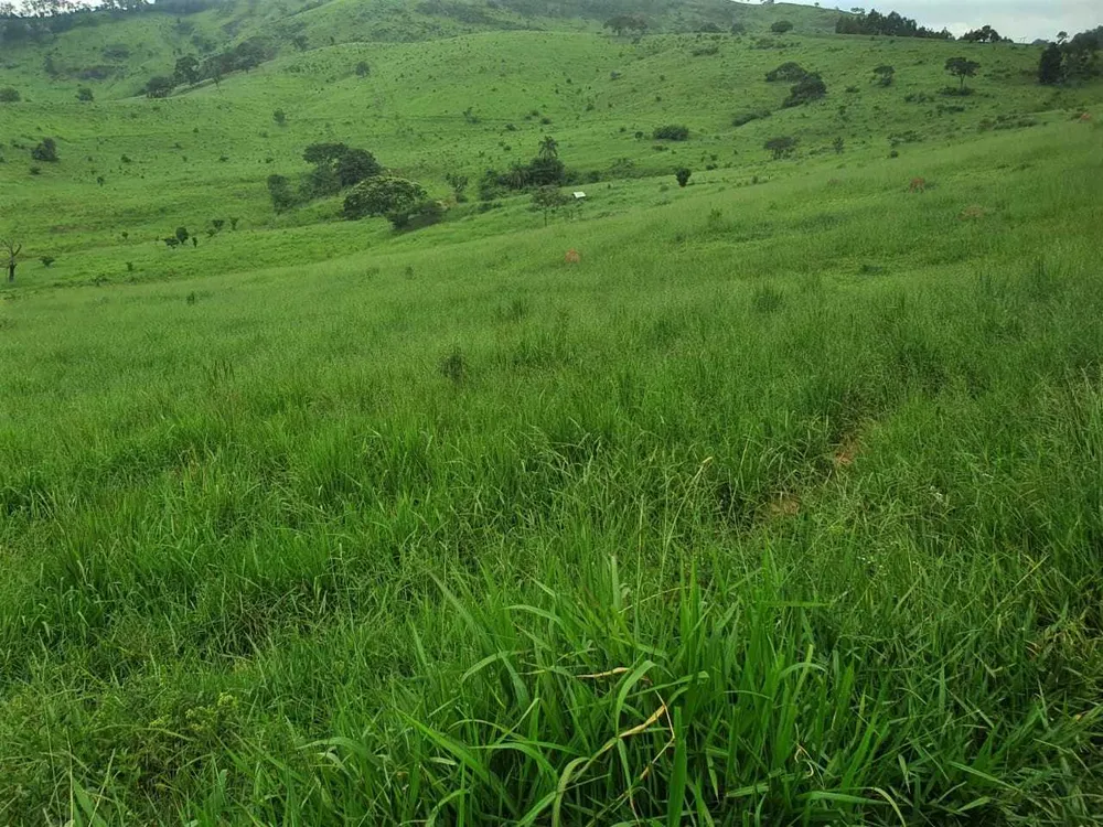 Fazenda, 208 hectares - Foto 13