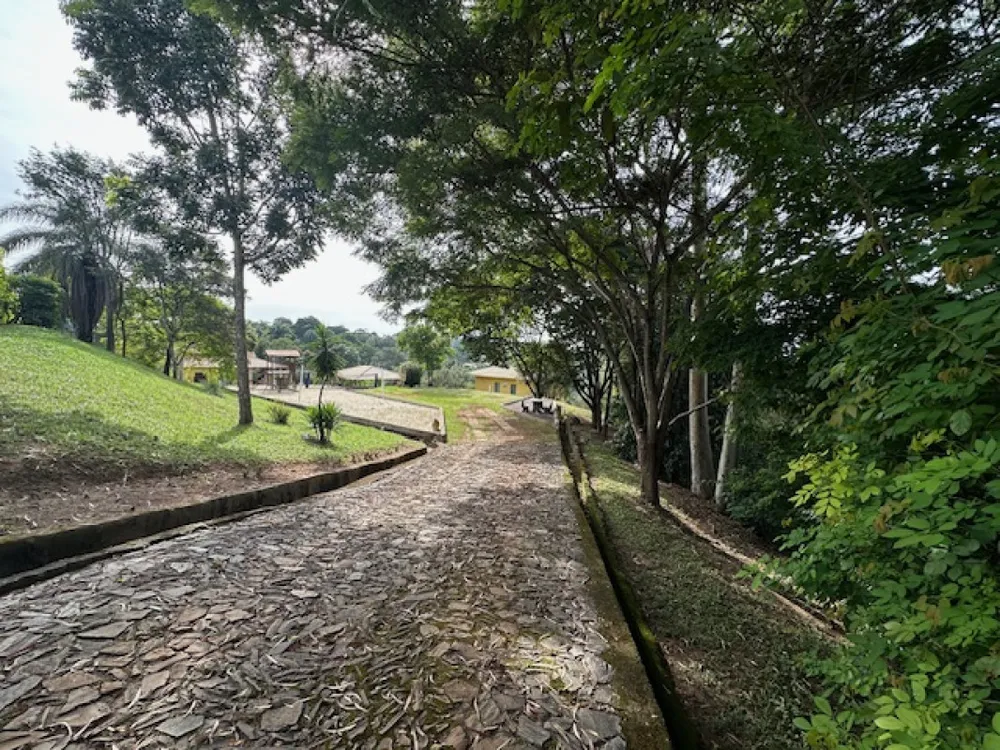 Apartamento, 5 quartos, 6000 m² - Foto 21
