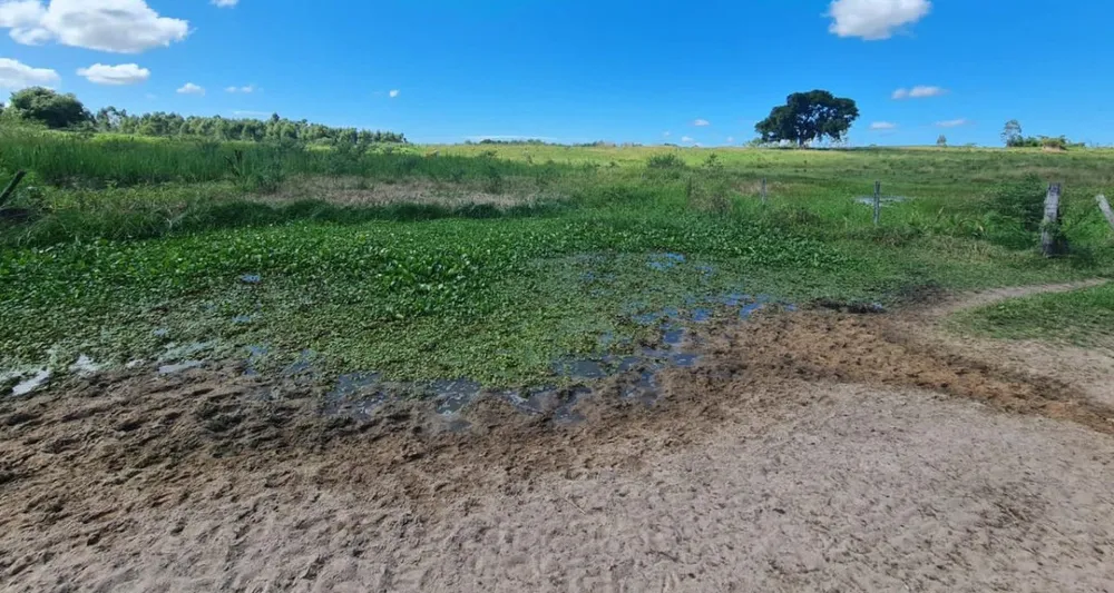 Fazenda, 252 hectares - Foto 12
