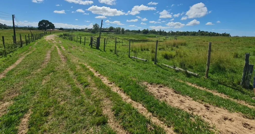 Fazenda, 252 hectares - Foto 13
