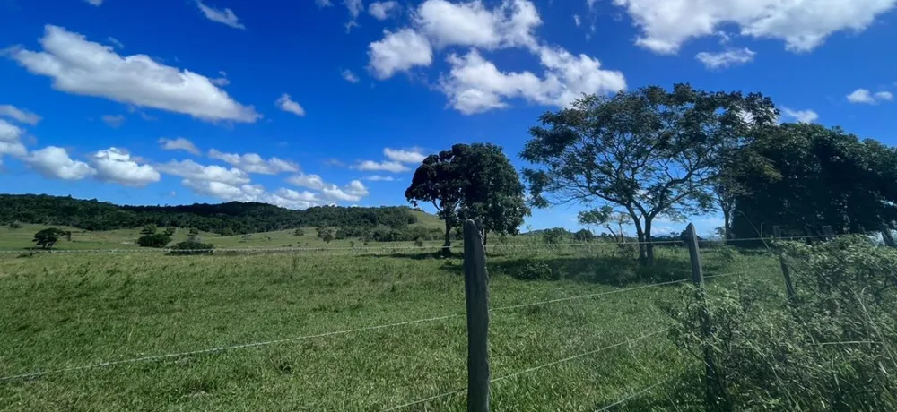 Fazenda, 252 hectares - Foto 6