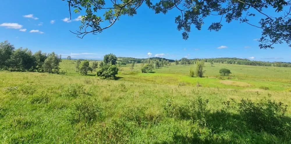 Fazenda, 252 hectares - Foto 5