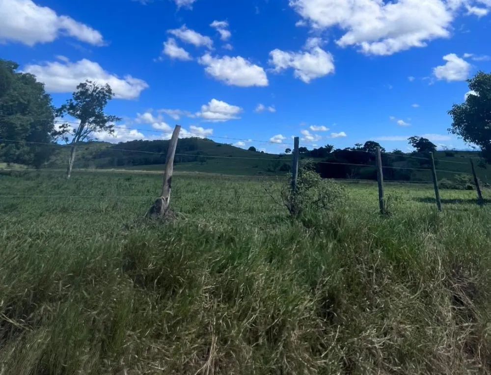 Fazenda, 252 hectares - Foto 9