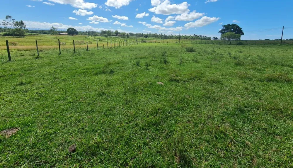 Fazenda, 252 hectares - Foto 12