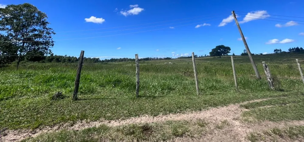 Fazenda, 252 hectares - Foto 15