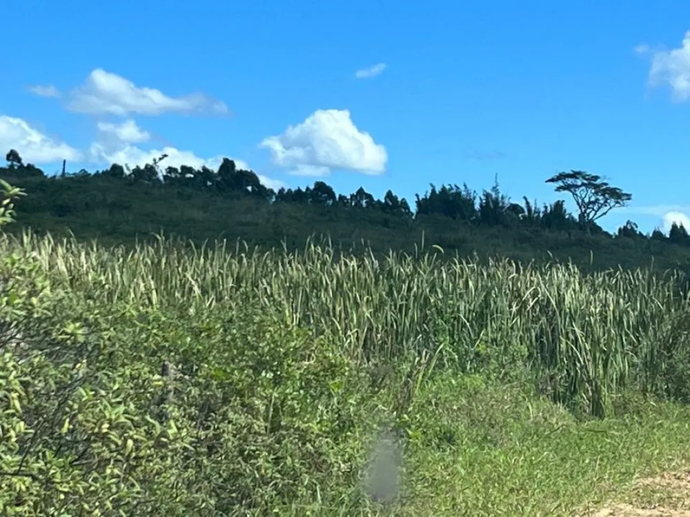 Fazenda, 252 hectares - Foto 13