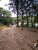Terreno, 1000 m² - Foto 4