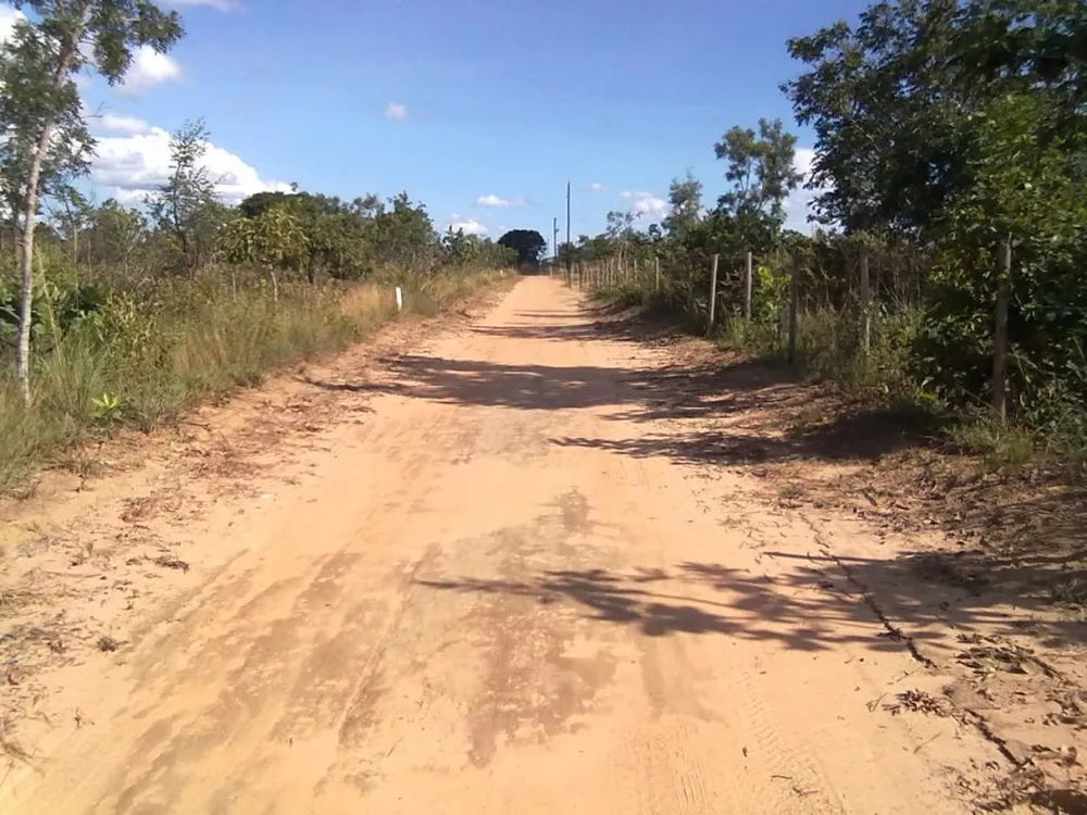 Terreno, 3 hectares - Foto 4