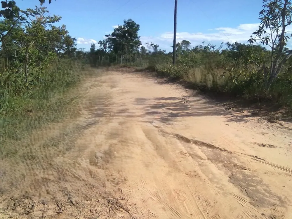 Terreno, 3 hectares - Foto 4