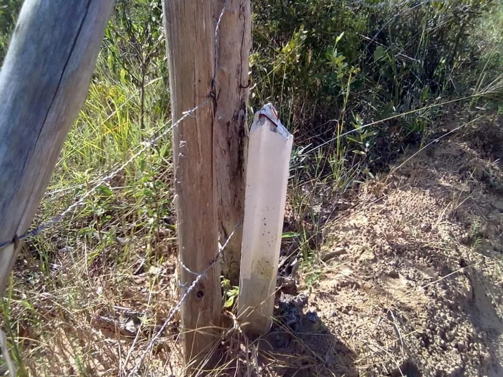Terreno, 3 hectares - Foto 1