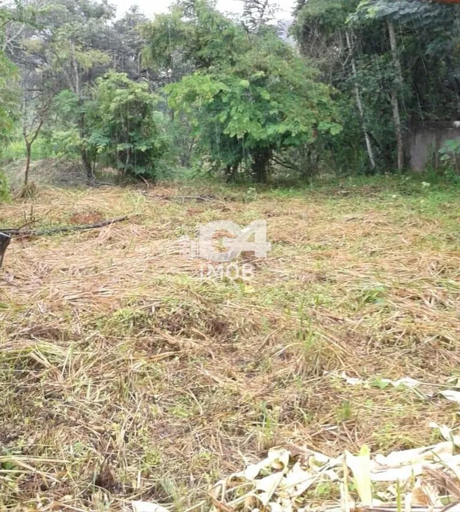Terreno, 650 m² - Foto 13