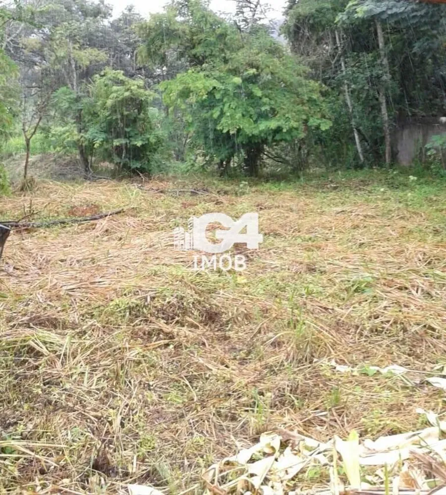Terreno, 650 m² - Foto 4