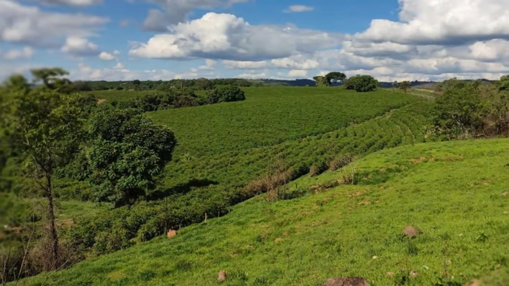 Fazenda à venda com 3 quartos, 1880000m² - Foto 7
