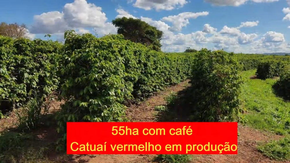 Fazenda à venda com 3 quartos, 1880000m² - Foto 5