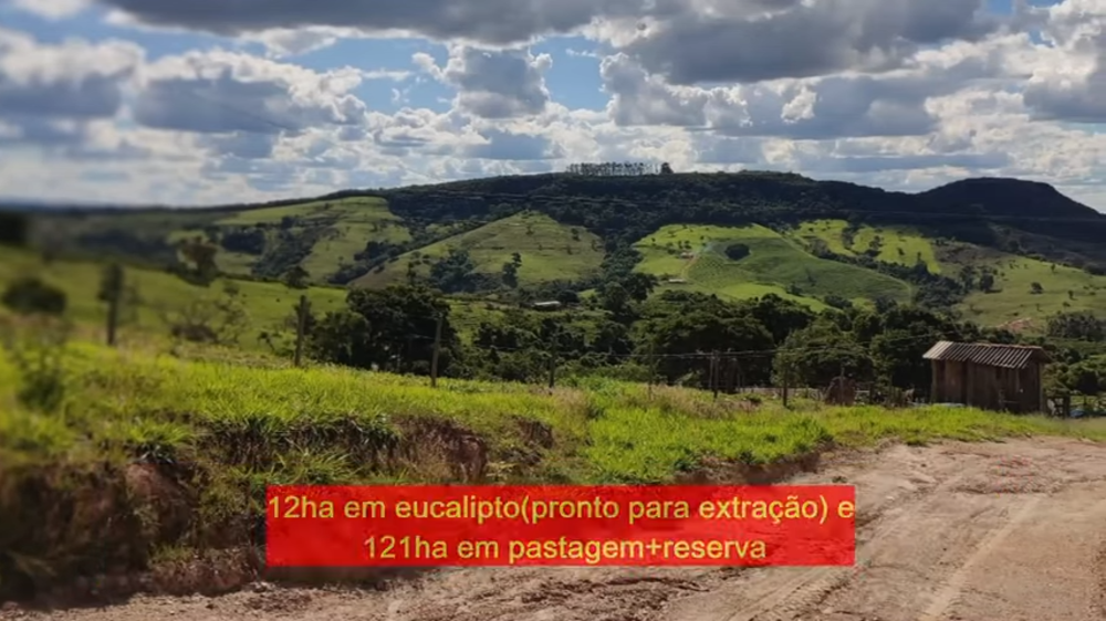 Fazenda à venda com 3 quartos, 1880000m² - Foto 11