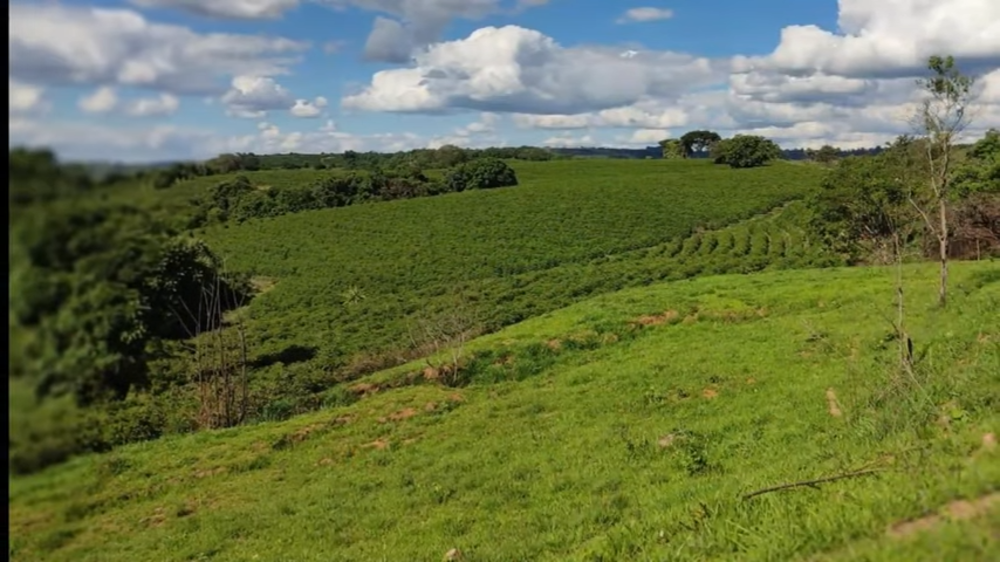 Fazenda à venda com 3 quartos, 1880000m² - Foto 9