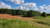 Fazenda, 3 quartos - Foto 6