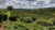 Fazenda, 3 quartos - Foto 1