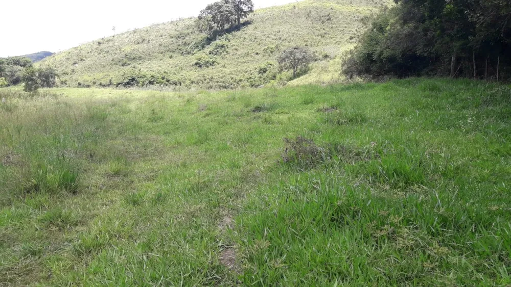 Fazenda, 44 hectares - Foto 1