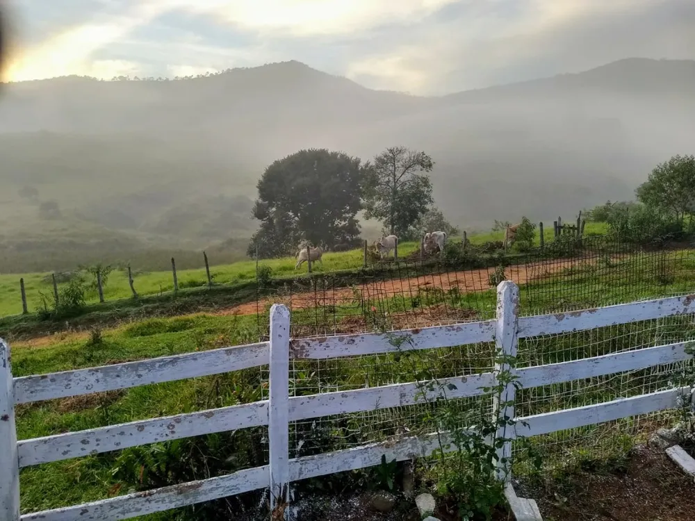 Fazenda, 44 hectares - Foto 6