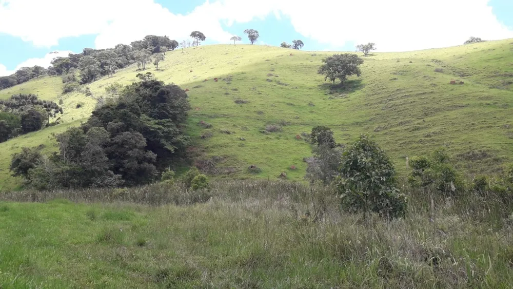 Fazenda, 44 hectares - Foto 2