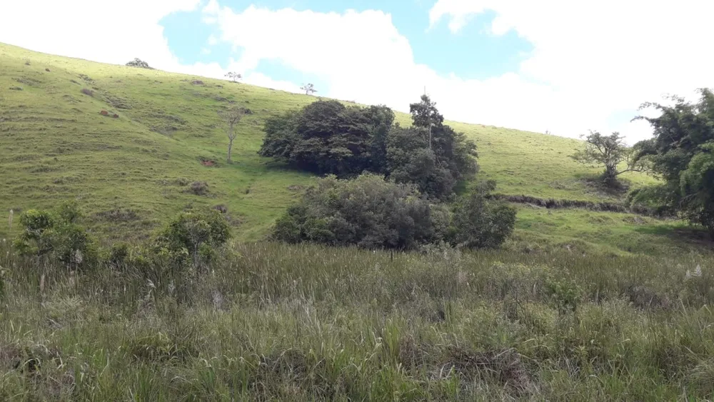Fazenda, 44 hectares - Foto 4