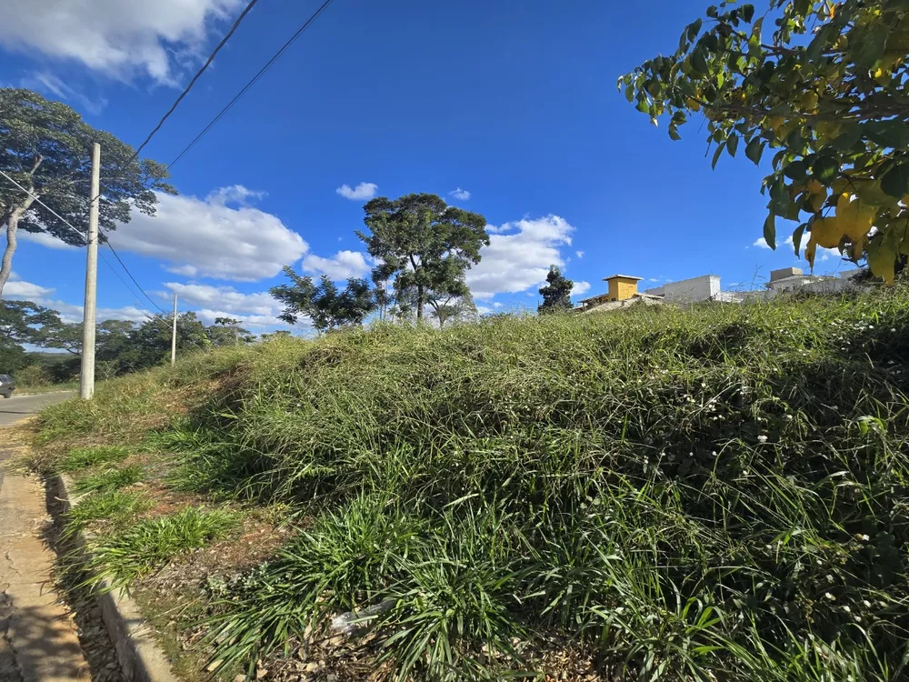 Terreno à venda, 1000m² - Foto 3