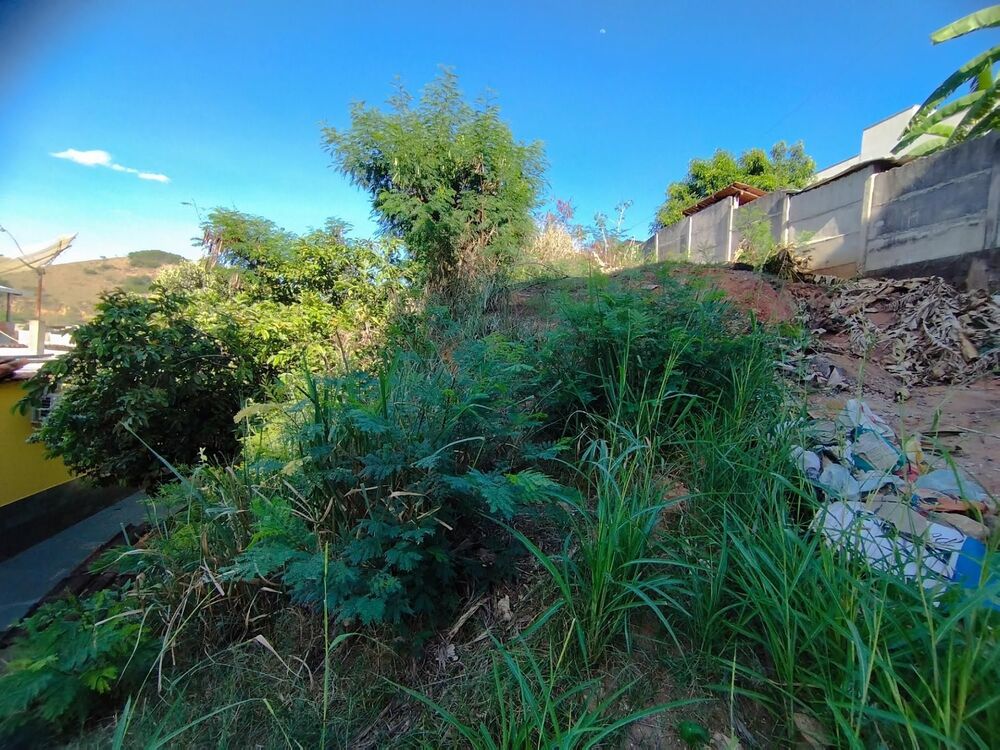 Terreno à venda - Foto 2
