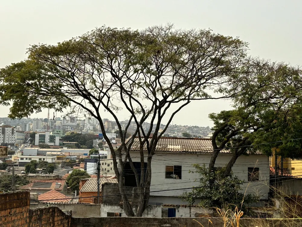 Terreno, 360 m² - Foto 8