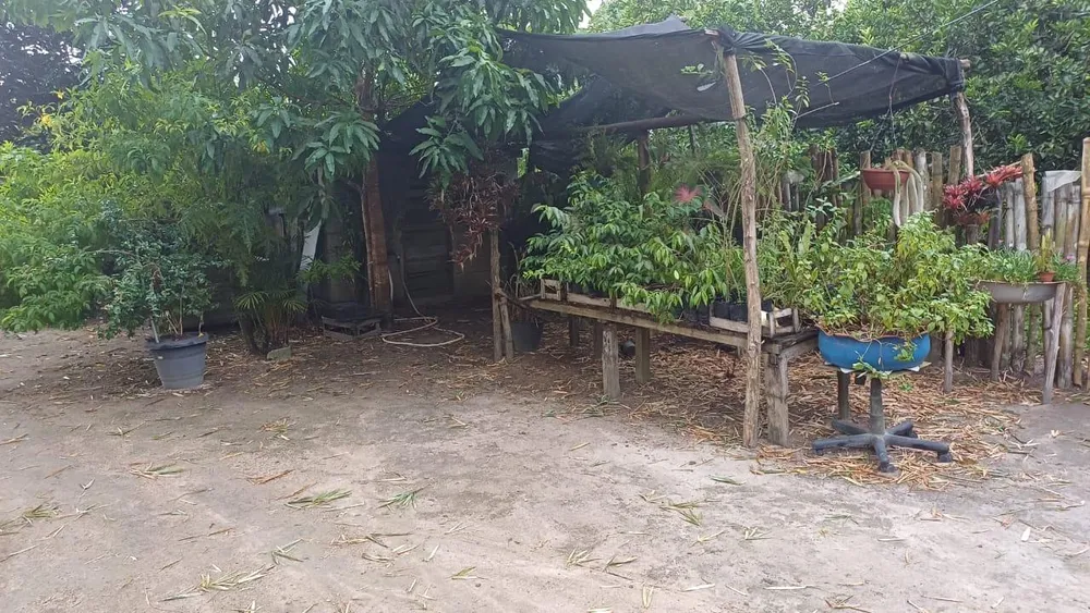 Chácara, 2 quartos, 5000 m² - Foto 12