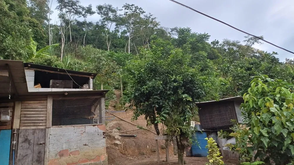Chácara, 2 quartos, 5000 m² - Foto 4