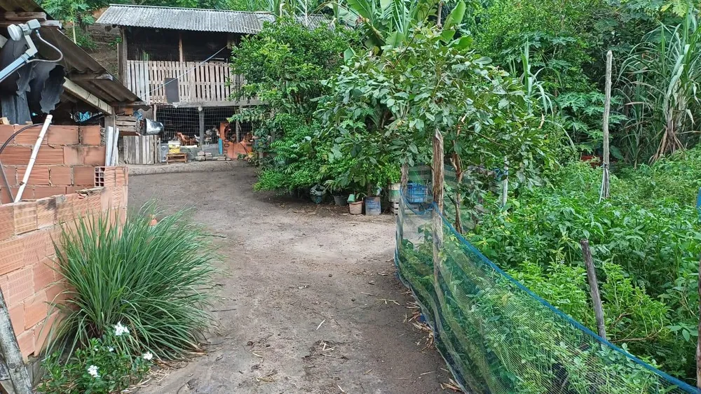 Chácara, 2 quartos, 5000 m² - Foto 1