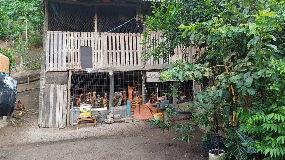 Chácara, 2 quartos, 5000 m² - Foto 3