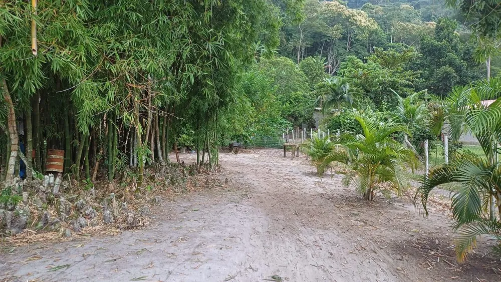 Chácara, 2 quartos, 5000 m² - Foto 8