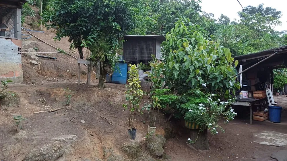 Chácara, 2 quartos, 5000 m² - Foto 6