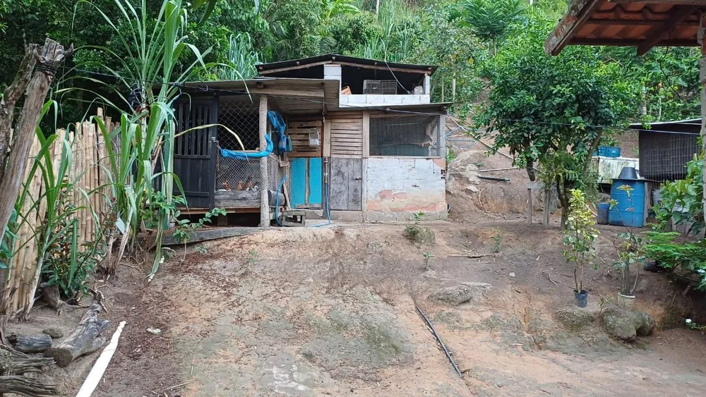 Chácara, 2 quartos, 5000 m² - Foto 5