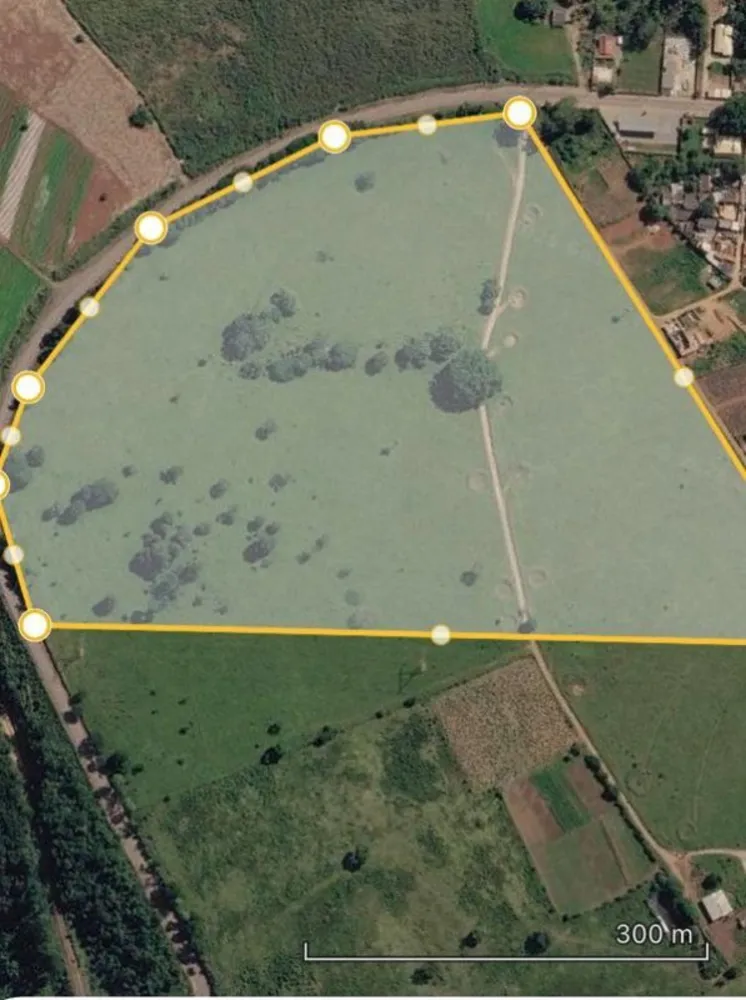 Terreno, 2 hectares - Foto 4