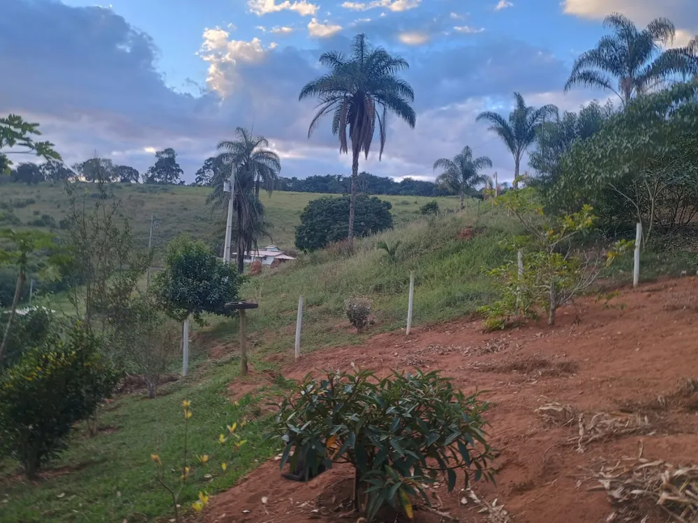 Chácara, 2 quartos - Foto 13