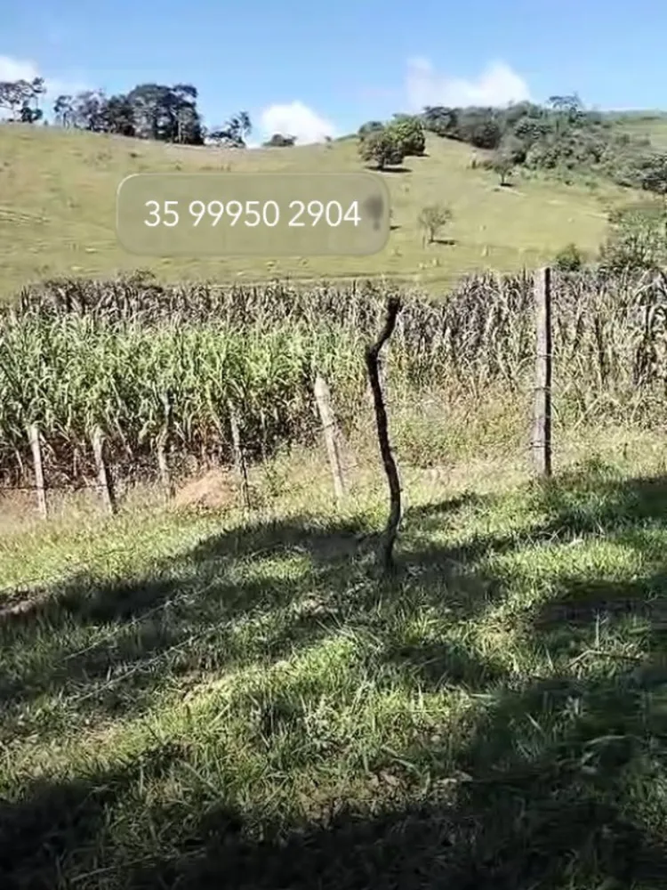Sítio, 1 quarto, 40 hectares - Foto 4