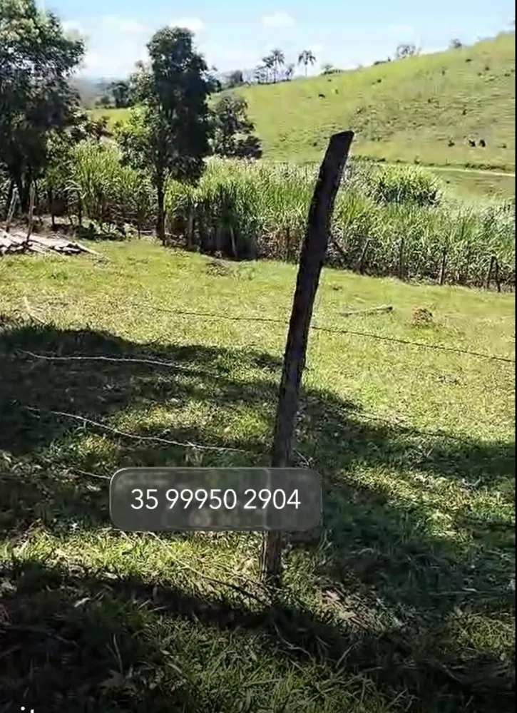 Sítio, 1 quarto, 40 hectares - Foto 1