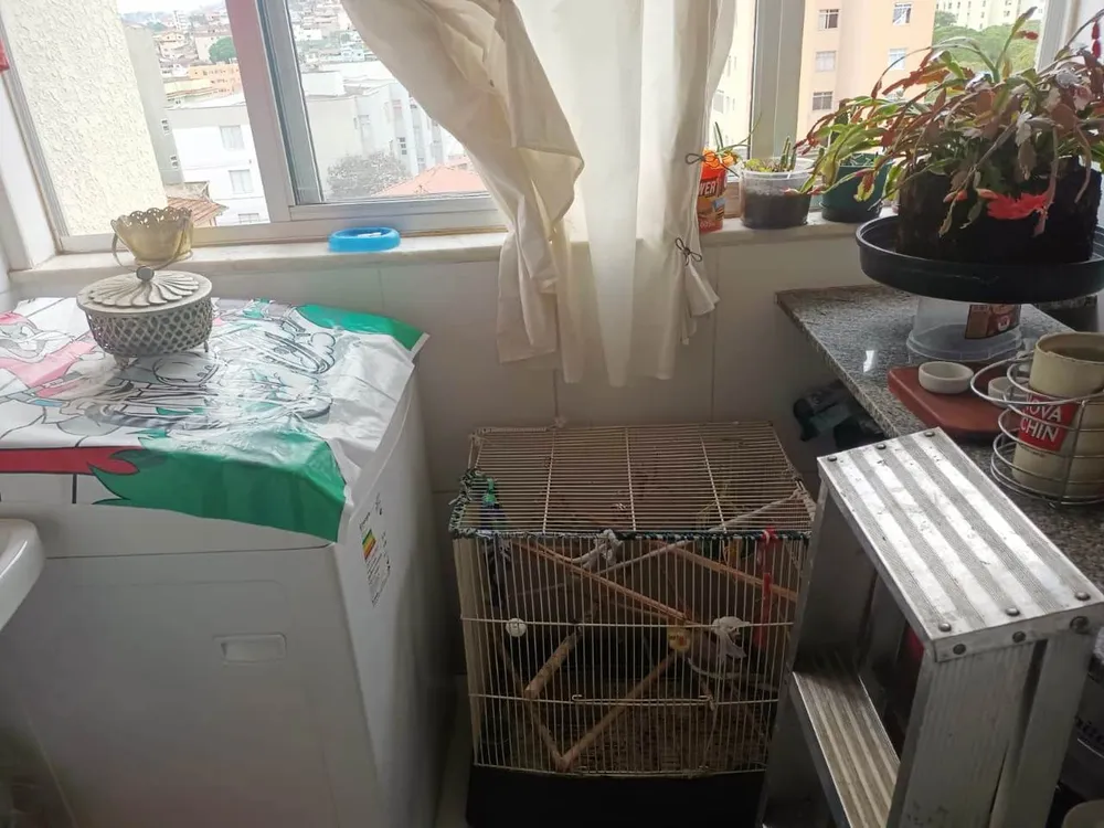 Apartamento, 3 quartos, 75 m² - Foto 6